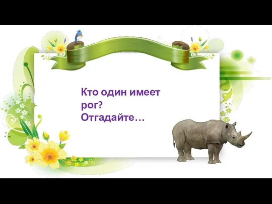 Кто один имеет рог? Отгадайте… Носорог ЗООЗАГАДКА