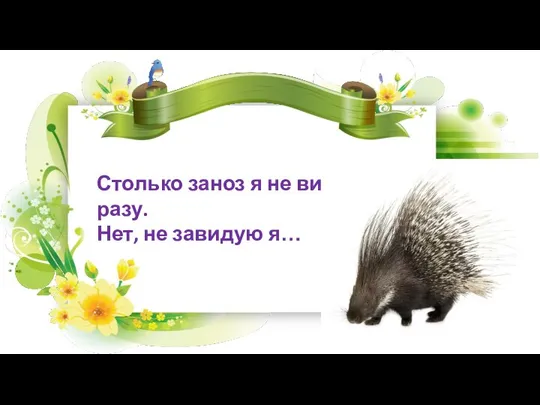 Столько заноз я не видел ни разу. Нет, не завидую я… Дикобразу ЗООЗАГАДКА