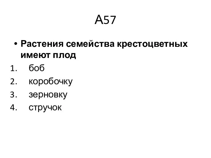 А57 Растения семейства крестоцветных имеют плод боб коробочку зерновку стручок