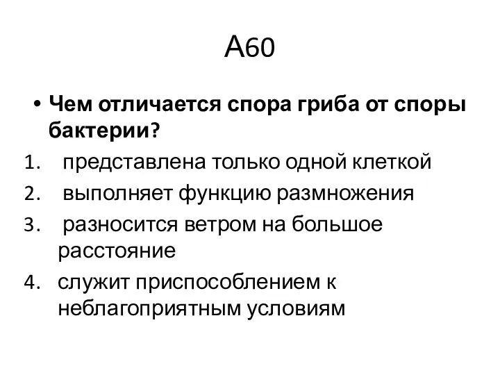 А60 Чем отличается спора гриба от споры бактерии? представлена только одной