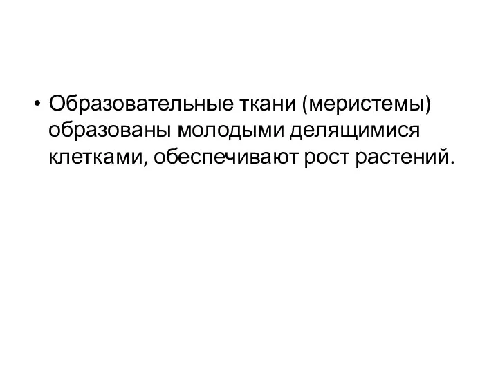 Образовательные ткани (меристемы) образованы молодыми делящимися клетками, обеспечивают рост растений.