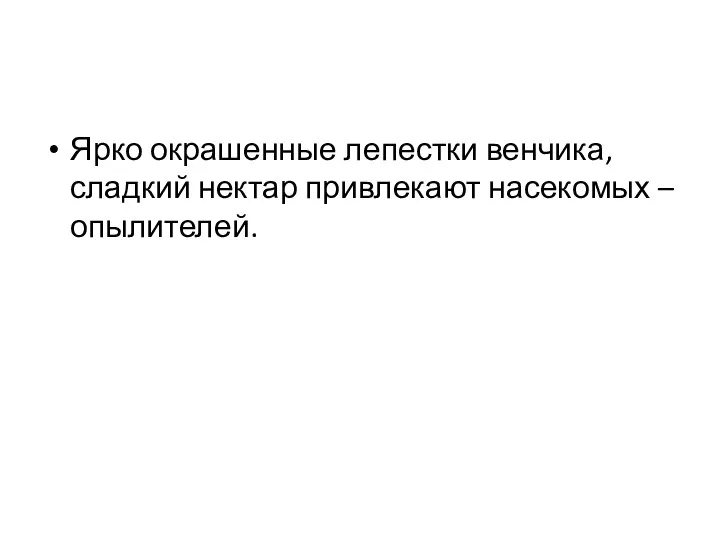 Ярко окрашенные лепестки венчика, сладкий нектар привлекают насекомых – опылителей.