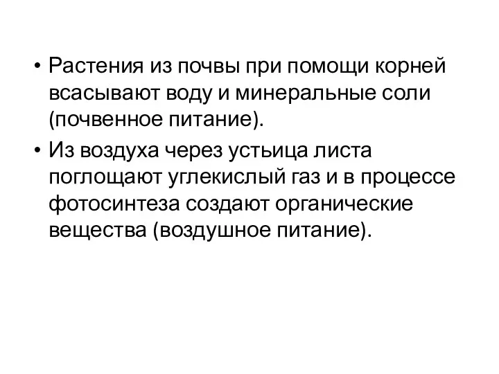 Растения из почвы при помощи корней всасывают воду и минеральные соли