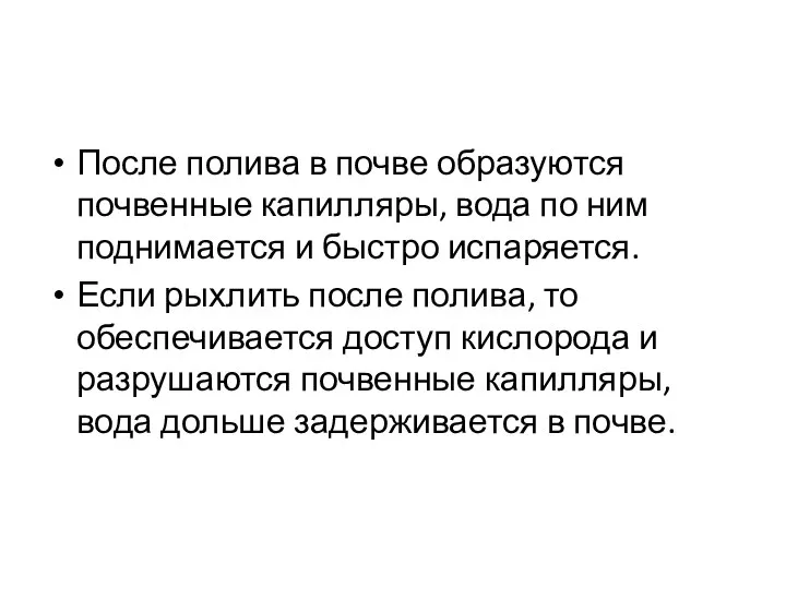 После полива в почве образуются почвенные капилляры, вода по ним поднимается