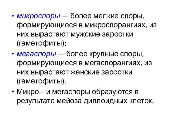 микроспоры — более мелкие споры, формирующиеся в микроспорангиях, из них вырастают