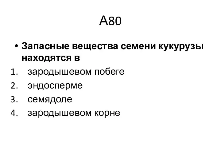 А80 Запасные вещества семени кукурузы находятся в зародышевом побеге эндосперме семядоле зародышевом корне