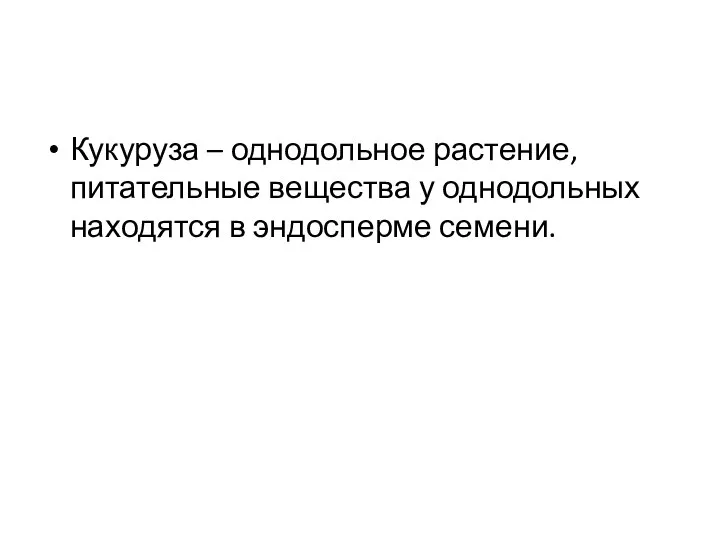 Кукуруза – однодольное растение, питательные вещества у однодольных находятся в эндосперме семени.