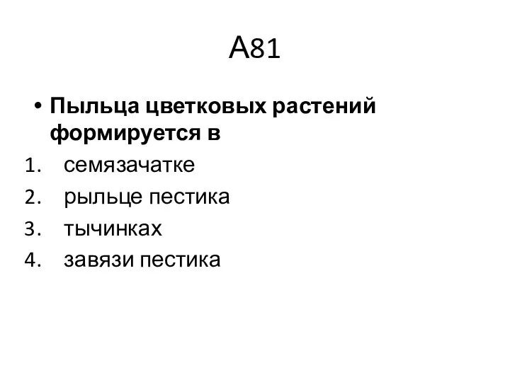 А81 Пыльца цветковых растений формируется в семязачатке рыльце пестика тычинках завязи пестика