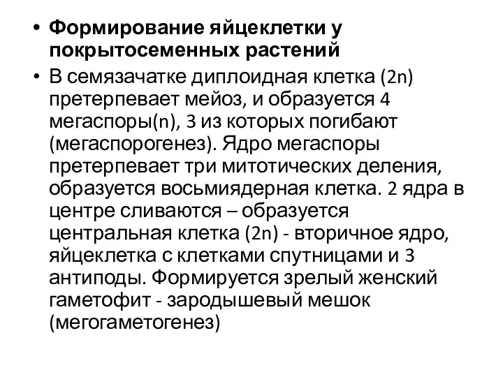 Формирование яйцеклетки у покрытосеменных растений В семязачатке диплоидная клетка (2n)претерпевает мейоз,