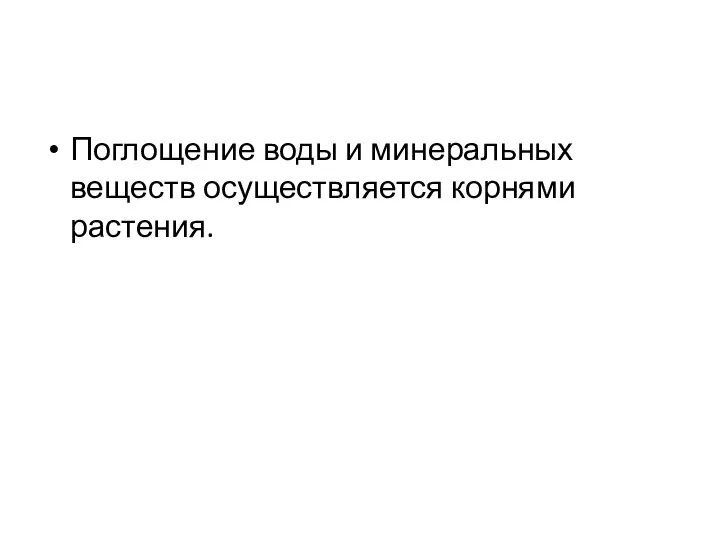 Поглощение воды и минеральных веществ осуществляется корнями растения.