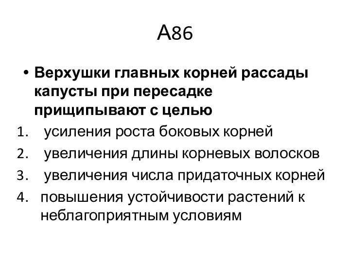 А86 Верхушки главных корней рассады капусты при пересадке прищипывают с целью