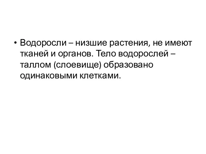 Водоросли – низшие растения, не имеют тканей и органов. Тело водорослей