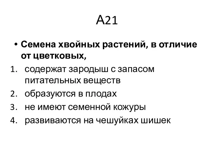 А21 Семена хвойных растений, в отличие от цветковых, содержат зародыш с