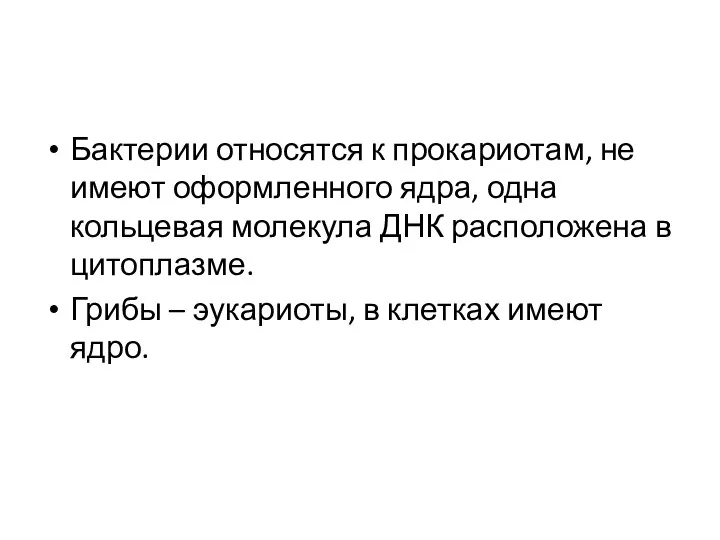 Бактерии относятся к прокариотам, не имеют оформленного ядра, одна кольцевая молекула