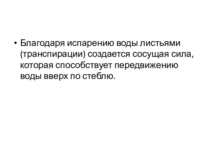 Благодаря испарению воды листьями (транспирации) создается сосущая сила, которая способствует передвижению воды вверх по стеблю.