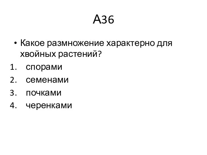 А36 Какое размножение характерно для хвойных растений? спорами семенами почками черенками