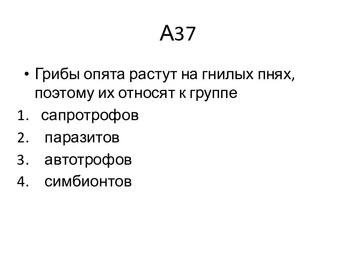 А37 Грибы опята растут на гнилых пнях, поэтому их относят к группе сапротрофов паразитов автотрофов симбионтов