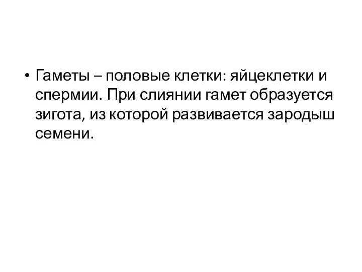 Гаметы – половые клетки: яйцеклетки и спермии. При слиянии гамет образуется