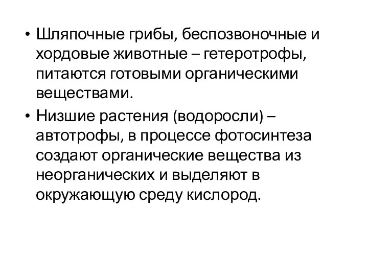 Шляпочные грибы, беспозвоночные и хордовые животные – гетеротрофы, питаются готовыми органическими