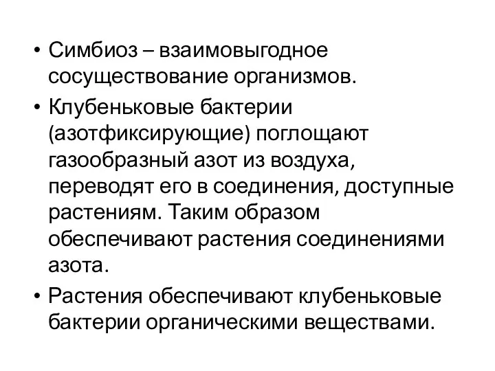 Симбиоз – взаимовыгодное сосуществование организмов. Клубеньковые бактерии (азотфиксирующие) поглощают газообразный азот