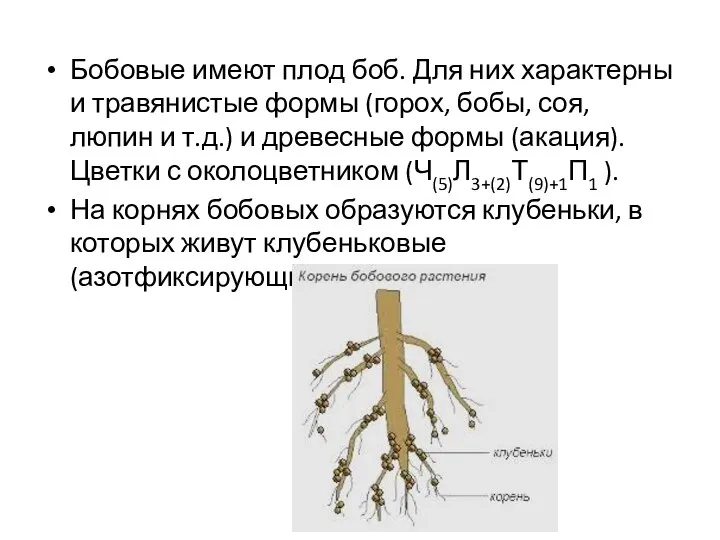 Бобовые имеют плод боб. Для них характерны и травянистые формы (горох,