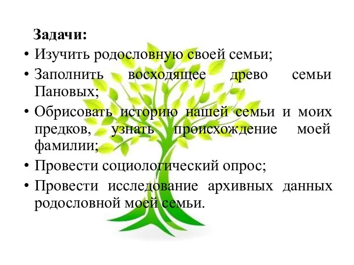 Задачи: Изучить родословную своей семьи; Заполнить восходящее древо семьи Пановых; Обрисовать