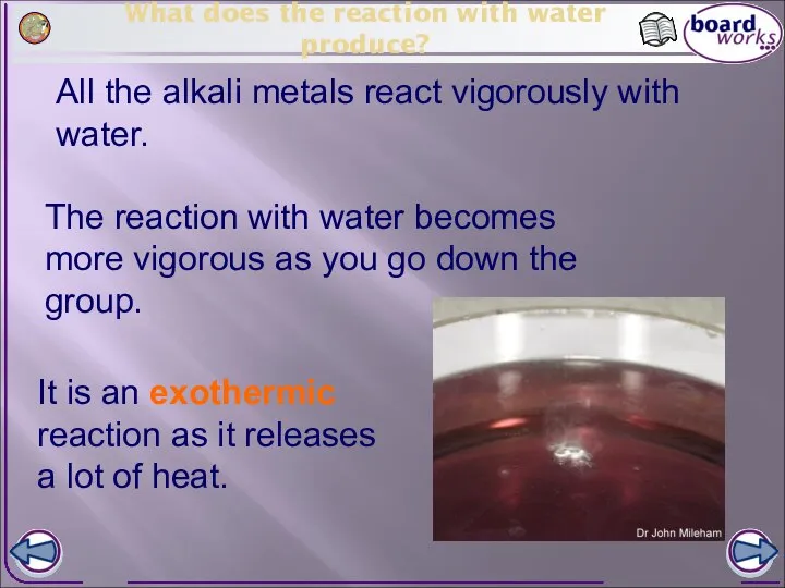 All the alkali metals react vigorously with water. What does the