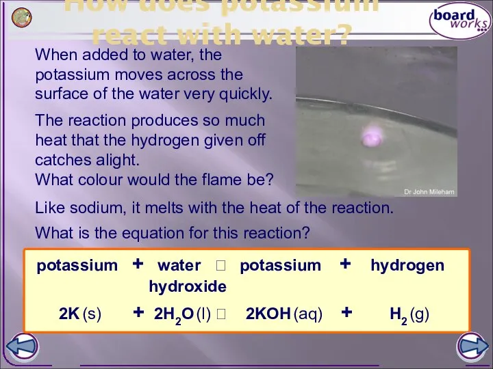 How does potassium react with water? When added to water, the