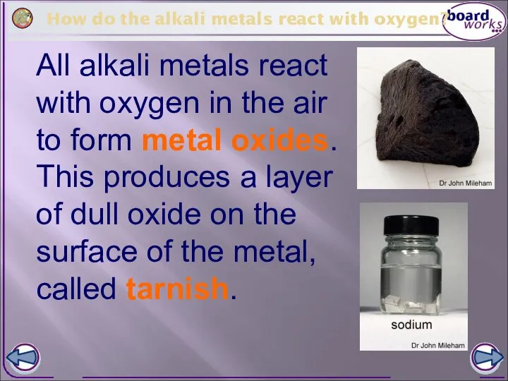 How do the alkali metals react with oxygen? All alkali metals