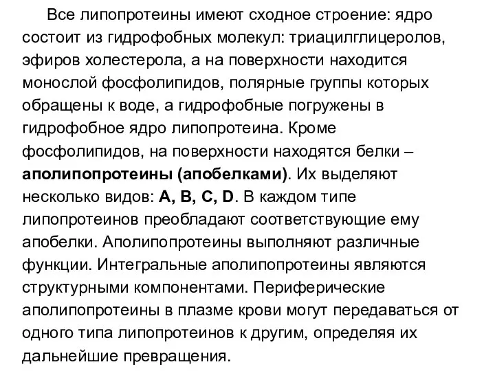 Все липопротеины имеют сходное строение: ядро состоит из гидрофобных молекул: триацилглицеролов,