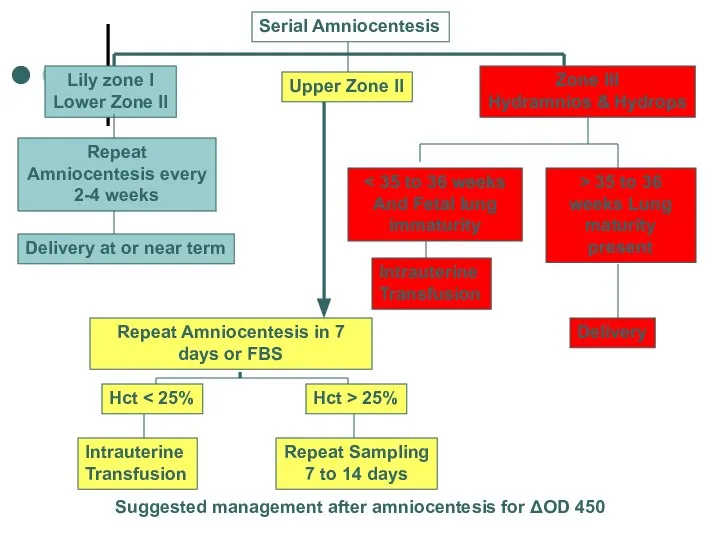 Suggested management after amniocentesis for ΔOD 450 Serial Amniocentesis Lily zone
