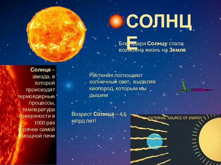 СОЛНЦЕ Благодаря Солнцу стала возможна жизнь на Земле Растения поглощают солнечный