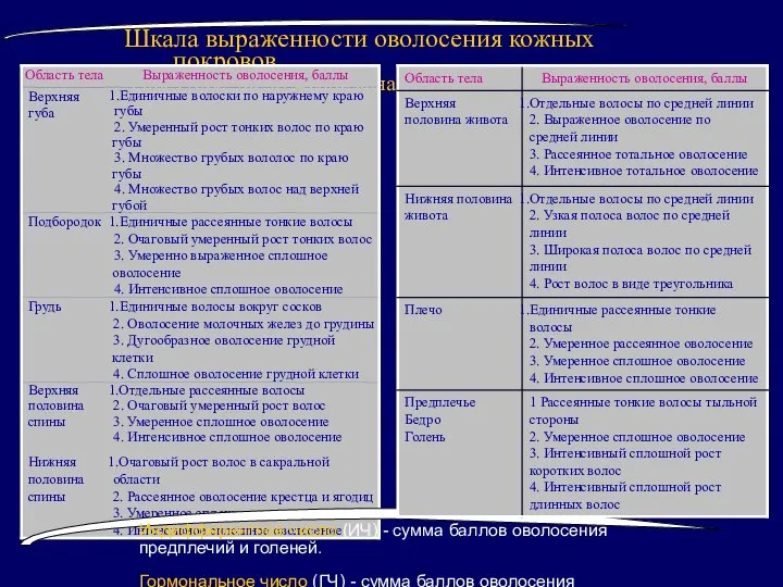 Шкала выраженности оволосения кожных покровов /Гирсутное число Ферримана-Галливея/ Индифферентное число (ИЧ)