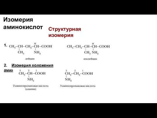 Изомерия аминокислот Структурная изомерия 1. Изомерия углеродного скелета 2. Изомерия положения аминогруппы