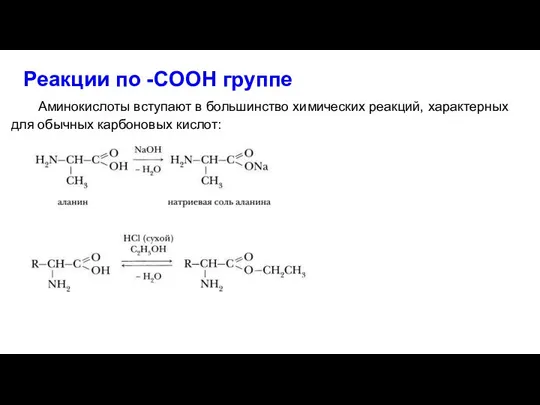 Реакции по -COOH группе Аминокислоты вступают в большинство химических реакций, характерных для обычных карбоновых кислот: