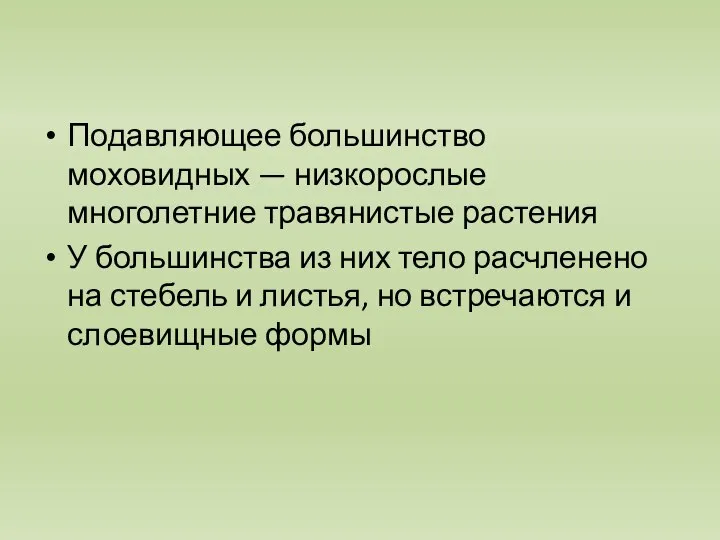 Подавляющее большинство моховидных — низкорослые многолетние травянистые растения У большинства из