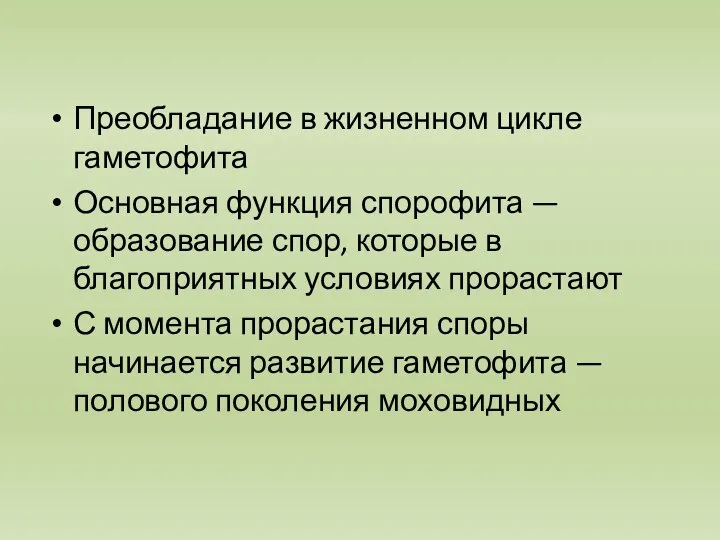 Преобладание в жизненном цикле гаметофита Основная функция спорофита — образование спор,