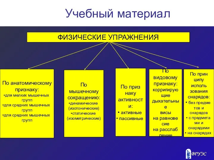 Учебный материал По анатомическому признаку: для мелких мышечных групп для средних