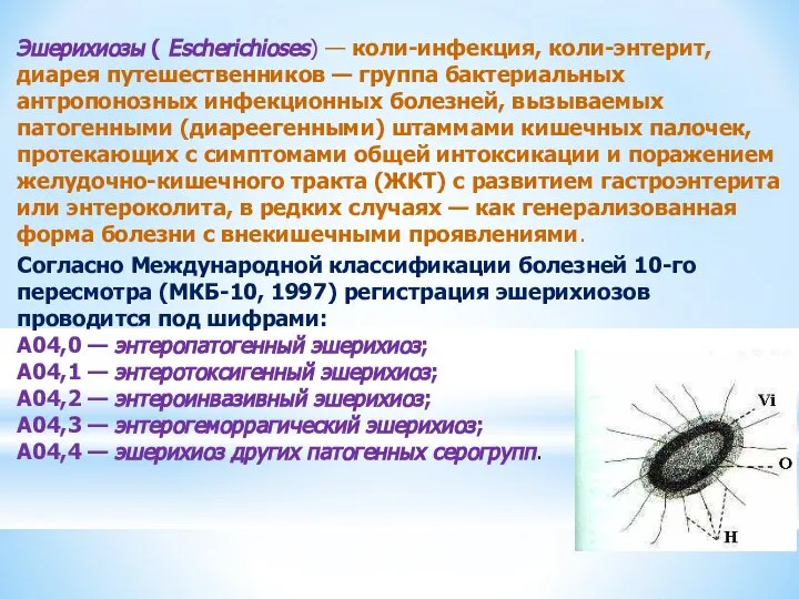 Эшерихиозы ( Escherichioses) — коли-инфекция, коли-энтерит, диарея путешественников — группа бактериальных