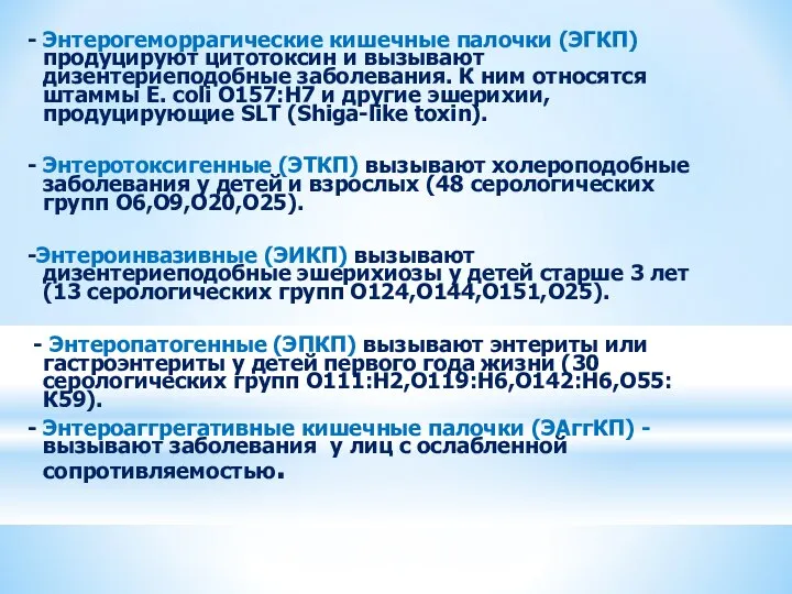 - Энтерогеморрагические кишечные палочки (ЭГКП) продуцируют цитотоксин и вызывают дизентериеподобные заболевания.