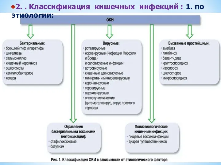 2. . Классификация кишечных инфекций : 1. по этиологии: