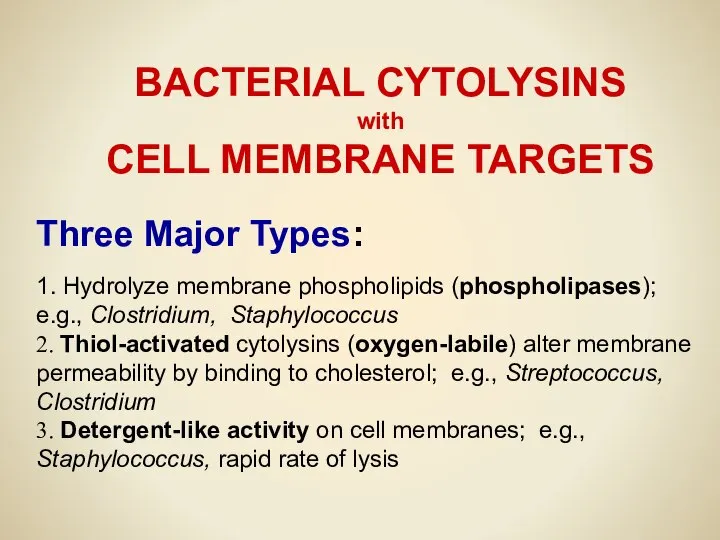 BACTERIAL CYTOLYSINS with CELL MEMBRANE TARGETS Three Major Types: 1. Hydrolyze
