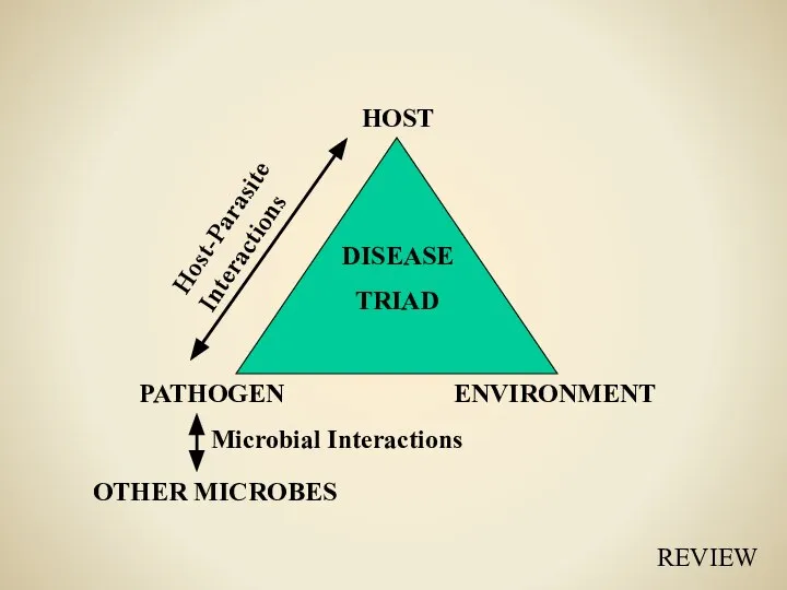 PATHOGEN ENVIRONMENT HOST DISEASE TRIAD Host-Parasite Interactions OTHER MICROBES Microbial Interactions REVIEW