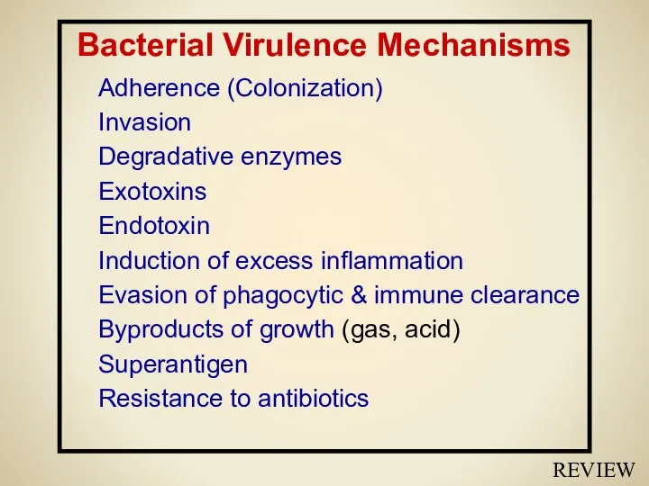 Bacterial Virulence Mechanisms Adherence (Colonization) Invasion Degradative enzymes Exotoxins Endotoxin Induction
