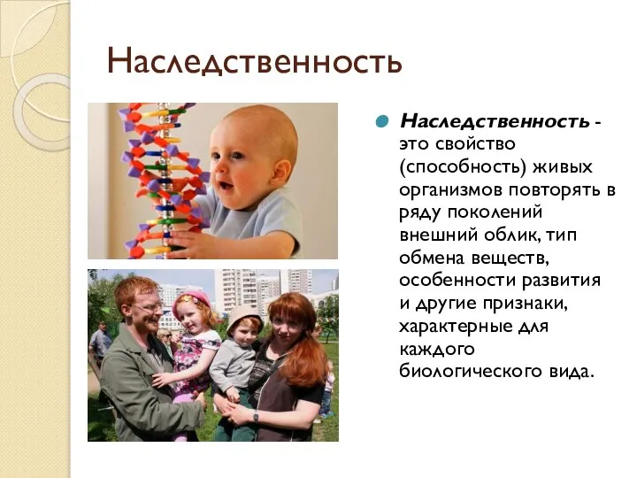 Наследственность Наследственность - это свойство (способность) живых организмов повторять в ряду