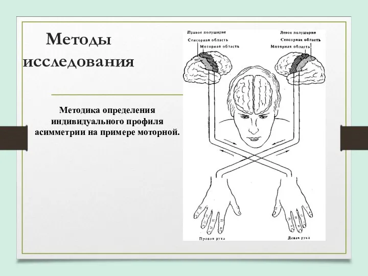 Методы исследования Методика определения индивидуального профиля асимметрии на примере моторной.