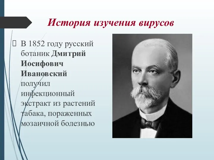 История изучения вирусов В 1852 году русский ботаник Дмитрий Иосифович Ивановский