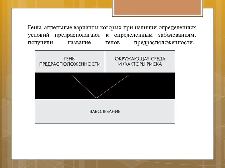 Гены, аллельные варианты которых при наличии определенных условий предрасполагают к определенным заболеваниям, получили название генов предрасположенности.