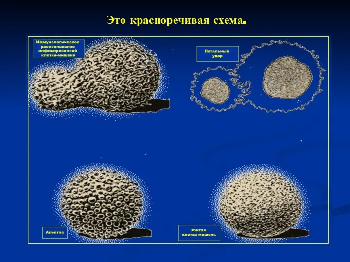 Это красноречивая схема.