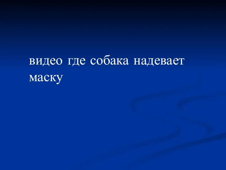 видео где собака надевает маску